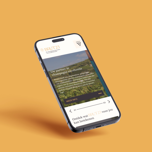Een sprankelende website en een verfijnde branding