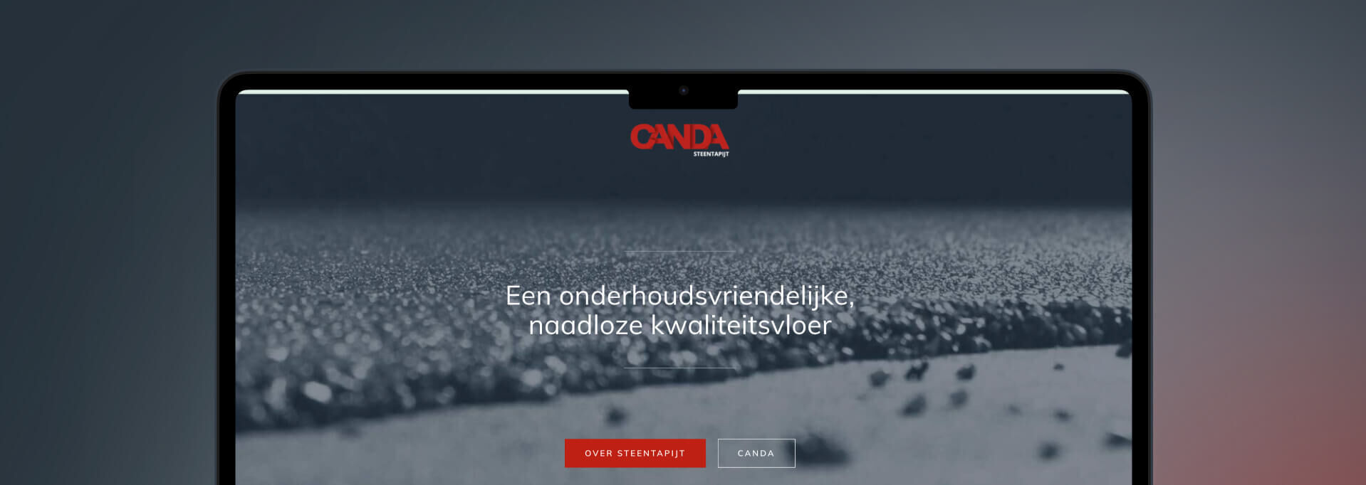 Ontwikkeling website