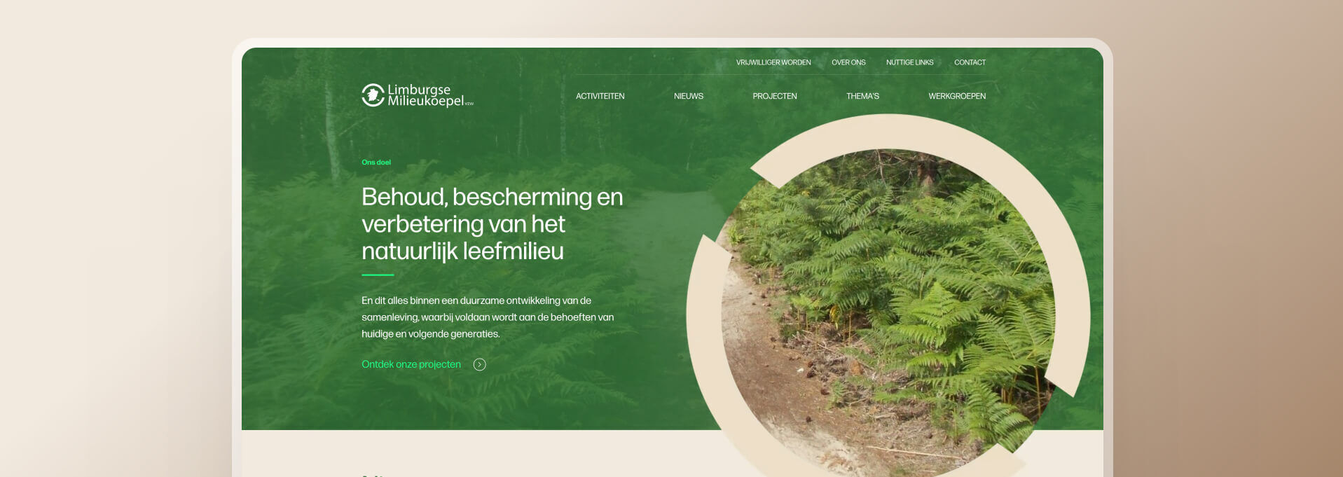 Ontwikkeling website met automatische nieuwsbrieven