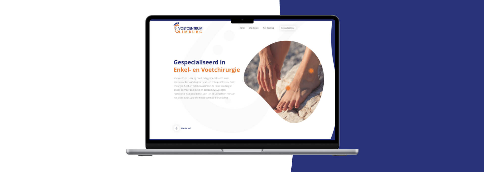 Ontwikkeling informatieve website